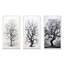 «White Tree Elegance Landscape», 3 pièces sur toile-484368267-484368306