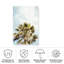 «Bolologia Breezy» sur impression sur toile-98095100