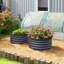 Planter-1737467068