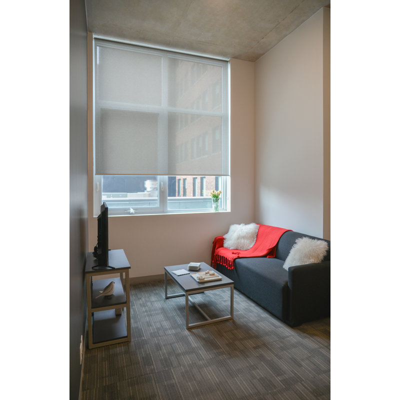Store à enroulement semi-transparent solaire, Gris foncé, l 58 po x L 72 po