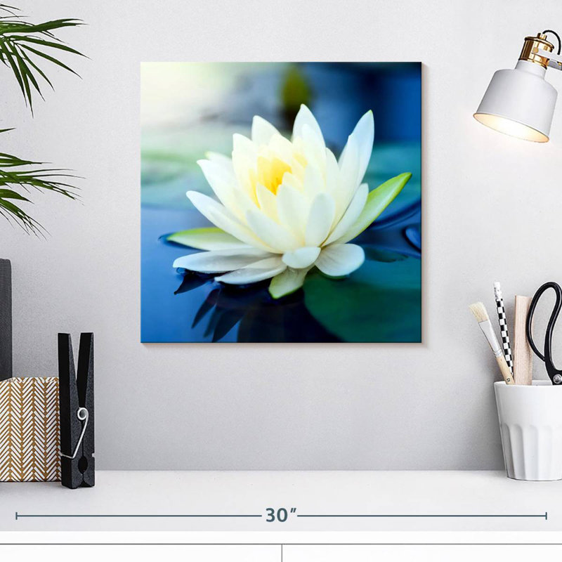Harnek Lotus Splendor, H 16 po x l 16 po