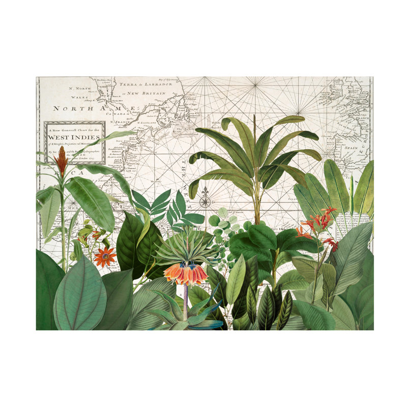 Andrea Haase Exotic Wildlife 005 Canvas Art, H 24 po x l 32 po x P 2 po