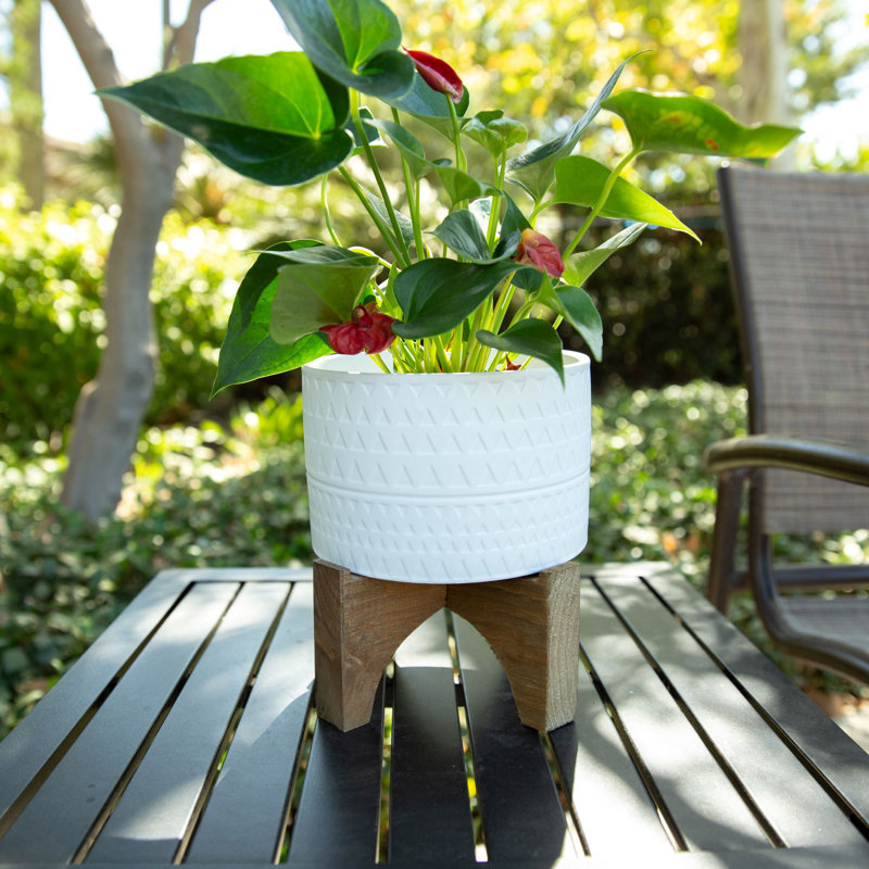 Beartree Ceramic Pot Planter