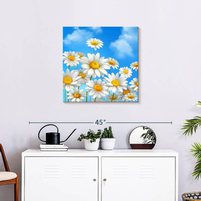 Marguerites bleu ciel Harnek