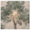 Art floral rétro sur toile Emanating Branches II par Art Remedy