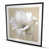 Blanc; gris; beige
