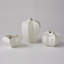 Star Fruit Vase-64402280
