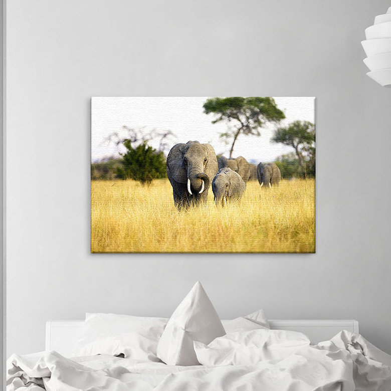 Print on Canvas, 40cm H x 60cm W x 2cm D
