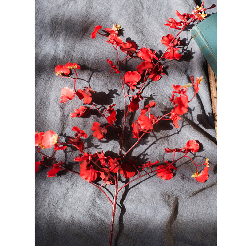 Tige d'orchidée impressionniste Oncidium, Rouge, 3 tiges