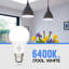 BA22d LED Light Bulb-468156440