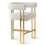 Woburn Set of 2 Upholstered Gold Chenille Solid Back Counter Stool-813395286