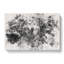 Wolf Portrait - Wrapped Canvas-56664349