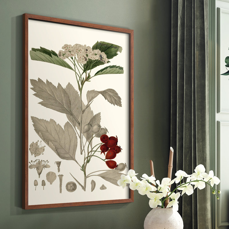 «Leaves & Berries I», reproduction encadrée - bois massif, Brun, H 28 po x l 22 po