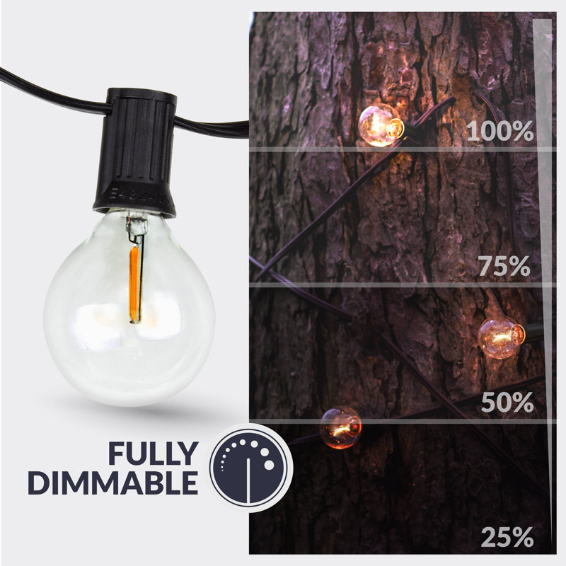 Asusena Outdoor 52 - Bulb 600'' Globe String Light