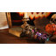 Ornement en forme de cercueil d'Halloween en verre - vitrine effrayante pour petits bibelots, bonbons et gothique - décoration à thème