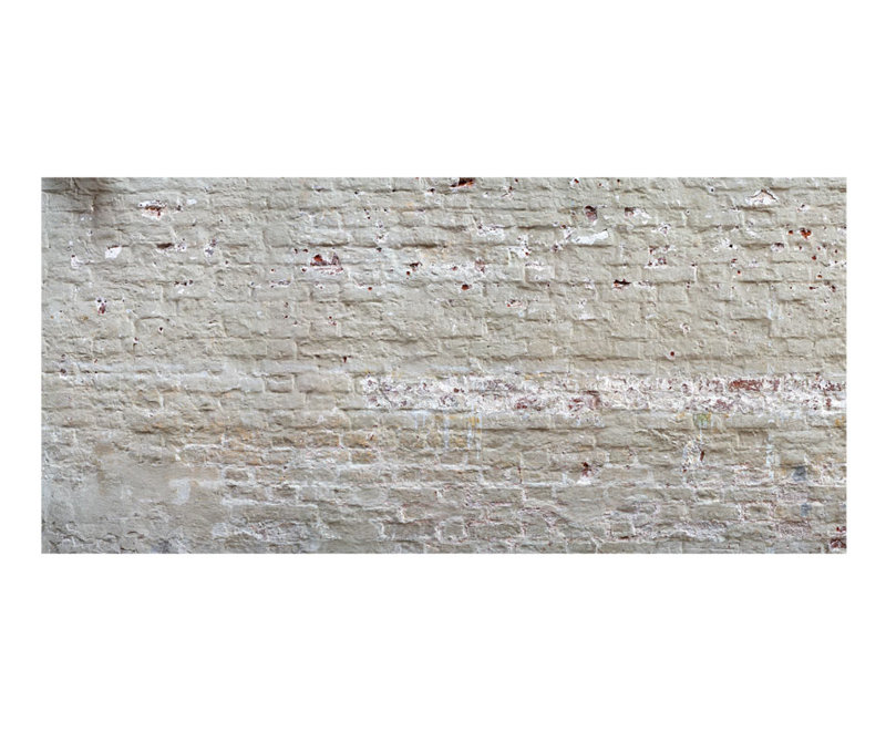 Earna 5.88m x 2.8m Textured Matte Peel & Stick Mural