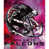 NFL Atlanta Falcons