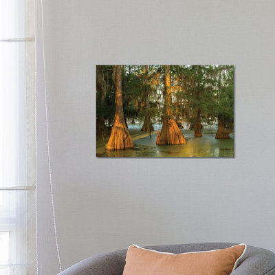 USA, Louisiana, Atchafalaya National Wildlife Refuge. Sunrise On Swamp. by Jaynes Gallery - Wrapped Canvas Gallery-Wrapped Canvas Giclée