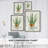 Succulent IV Framed Print - Solid Wood-302735838
