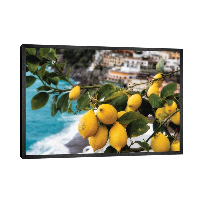 Close Up View Of A Lemon Tree With Fruit, Positano, Amalfi Coast, Campania, Italy by George Oze - Print on Canvas