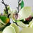 Magnolia Arrangement with Vase