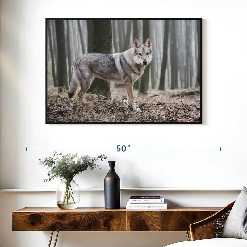Loup d'hiver brumeux, Cadre flottant noir, 40 po x 27 po