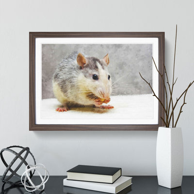 Rat - Framed Print