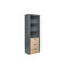 Ceji Bookcase