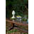 Solid Wood Base Dining Table-55879363