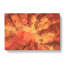 What in the World in Abstract - Wrapped Canvas-55303937
