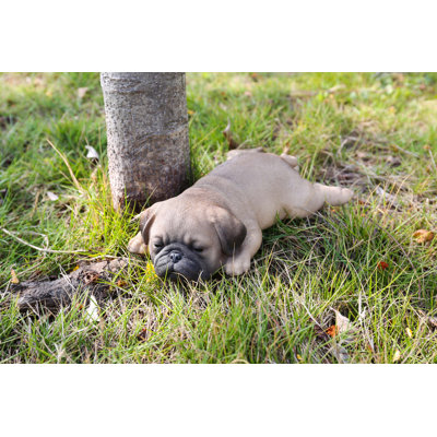 Statue de couchage chiot carlin