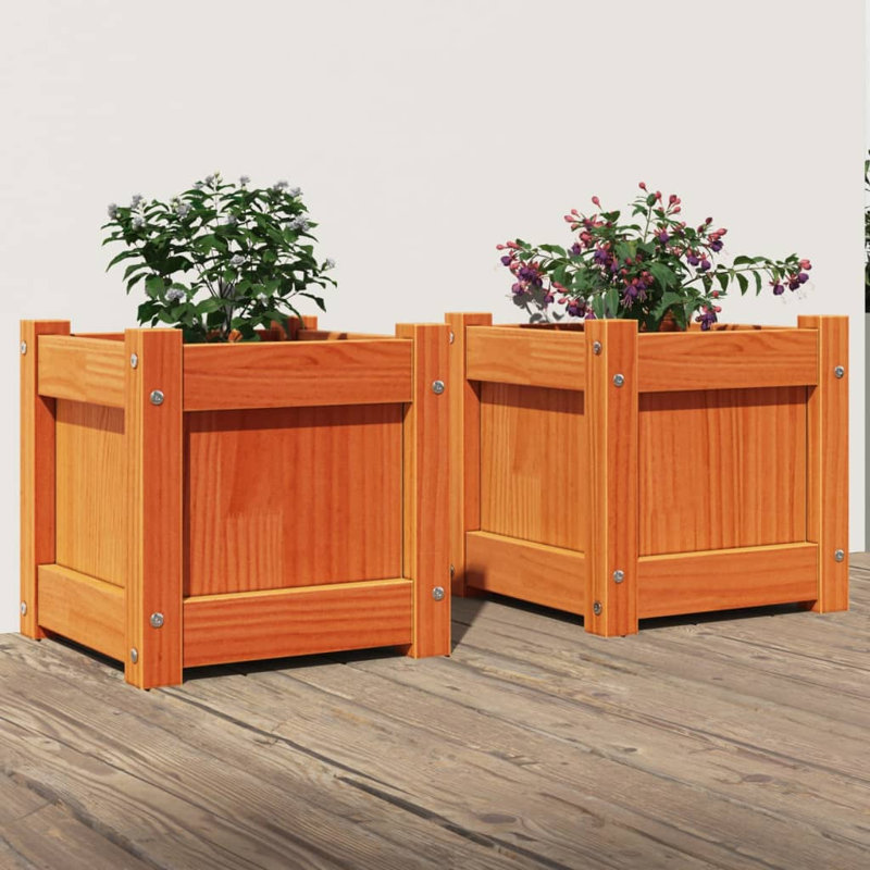 Ander Planter, Brown Pine, 2