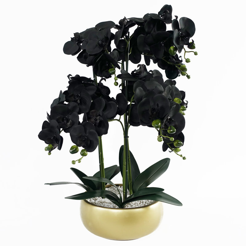 Orchids Plastic, Silk Artificial Arrangement in Planter, Gold