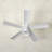 Trinika 56" Clarence 5 - Blade LED Standard Ceiling Fan with Remote Control and Light Kit Included-622829856