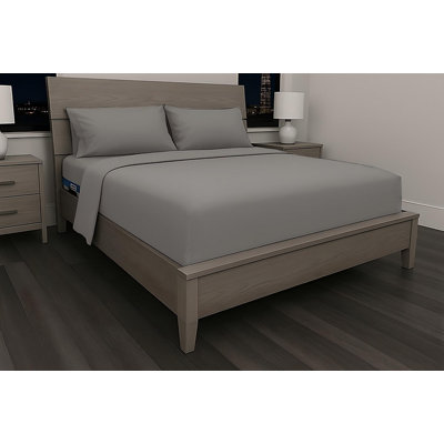 Ocean - Modern Design