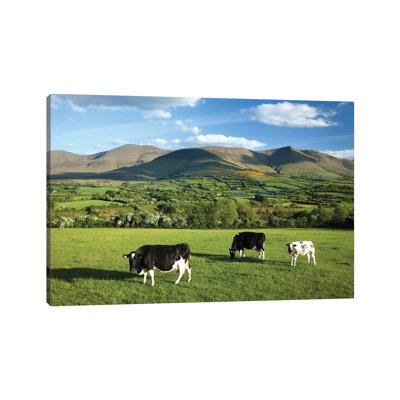 Cows Grazing In The Glen Of Aherlow, Galtee Mountains, County Tipperary, Ireland by Gareth McCormack - Wrapped Canvas Print