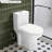 Non-Electric Bidet Toilet Seat Fits Elongated Toilets Dual Nozzle System Bidet with Easy Installation