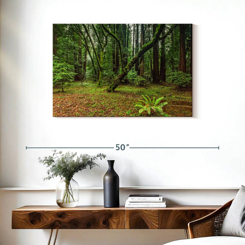 Alvord Muir Woods Forest, 24" H x 36" W