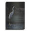 "Grande aigrette" par Ron Parker-1927848571