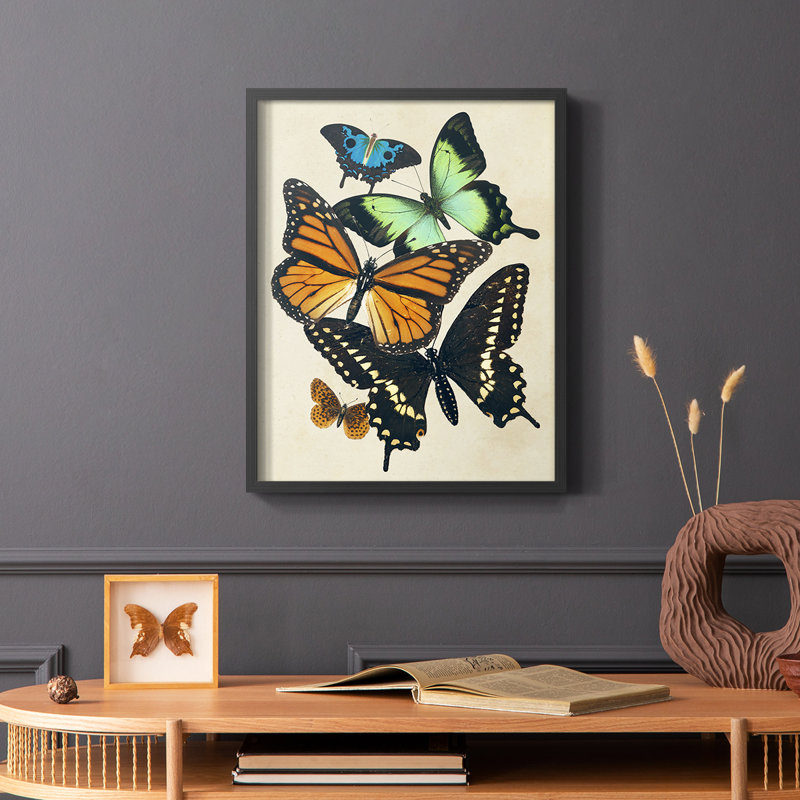 «Collage Butterflies I», reproduction encadrée - bois massif, Noir, H 10 po x l 8 po