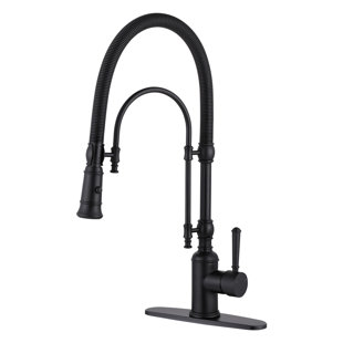 Pull Out Gooseneck High-Arc Kitchen Faucet