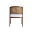 Chaise d'appoint rembourrée en mousse à dossier en canne de 19 po H Aliha-1807375325-1783635929