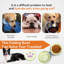 Bols en silicone pour chien