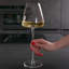 500ml Red Wine Glass-947240388