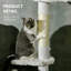 Arbre à chat PawHut