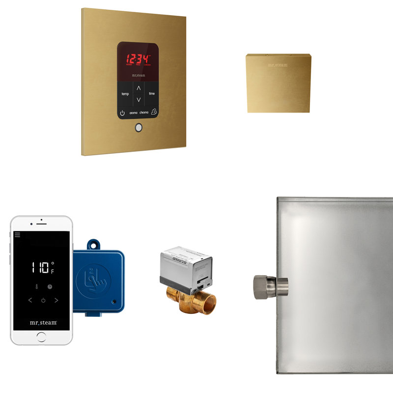 Residential Steam Generator Control, Unfinished Brass
