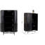 Cabinet Glenn 2 Doors