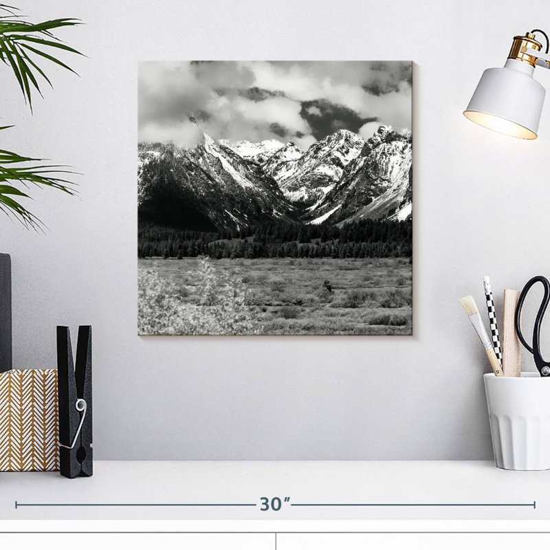 Alvord Snowy Teton Mountains BW, H 16 po x l 16 po