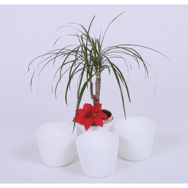 Rogelio Pot Planter, White