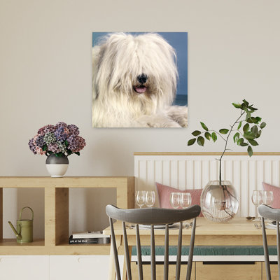 1960S Portrait Of English Sheepdog With Long Shaggy Hair Covering His Eyes Classic Retro Vintage Dog Wall Art